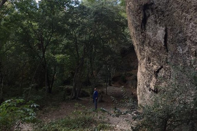 1 day hiking in Birtvisi Canyon from Tbilisi - Key points to know before you book