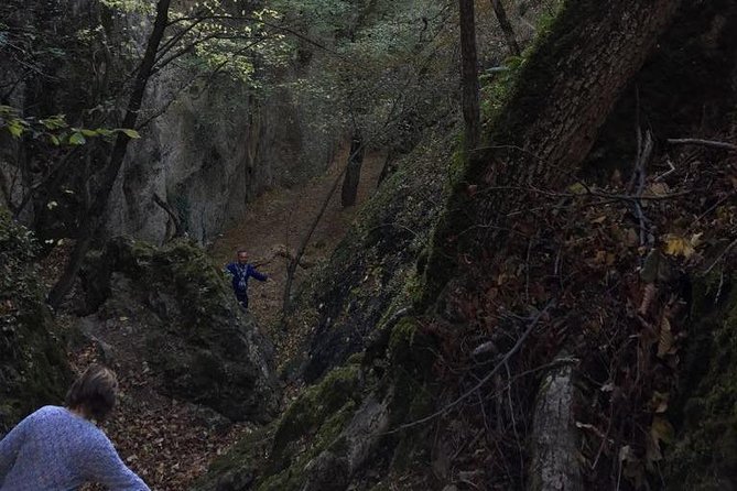 1 day hiking in Birtvisi Canyon from Tbilisi - Reaching Deda-tsikhe and Sheupovari