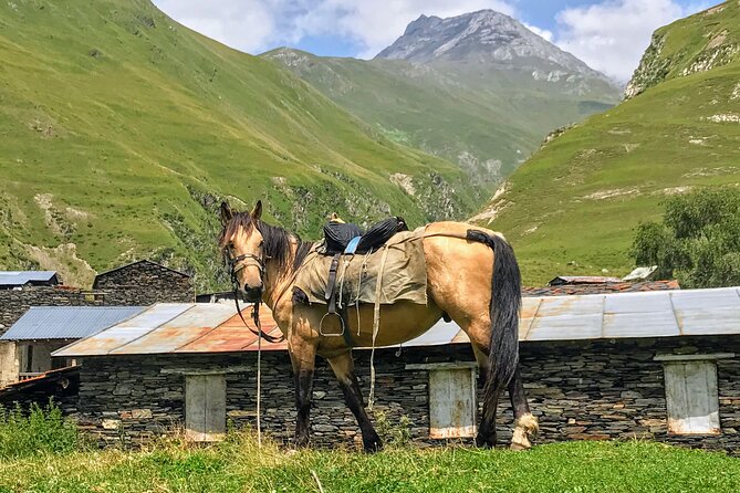3 Day Tusheti Tour Explore Unspoiled Wilderness - The real costs of a remote mountain trip