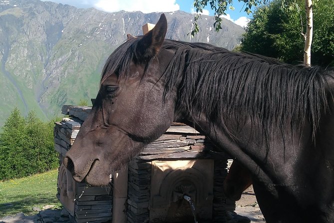 3 Days in Georgia: Private Tour with Wine, Mountains & Culture - Guides, transport, and the human side