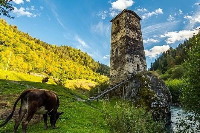 4-Day Tour in Svaneti - Mestia/Ushguli - Who should book this Svaneti trip?