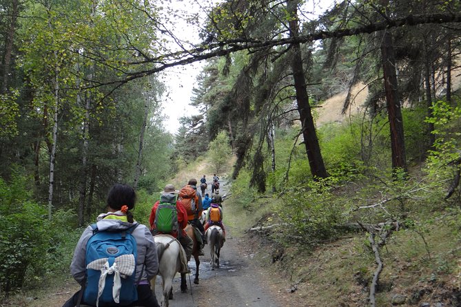 7-day hiking expedition to Tusheti through the Atsunta pass - A long descent beside the Pirikiti Alazani