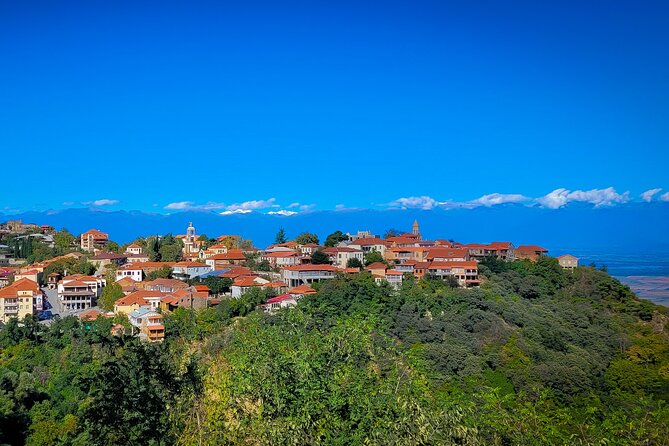 A day tour to Kakheti region/wine/culture/history and gastro tour - Badiauri begins the day with bread and cheese