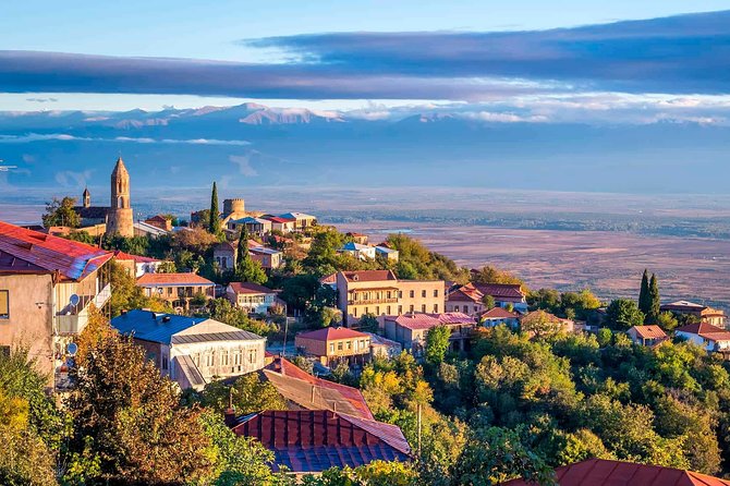 Adventure in Kakheti - Bodbe, Sighnaghi, wine tasting (Private Experience) - What the private guide adds