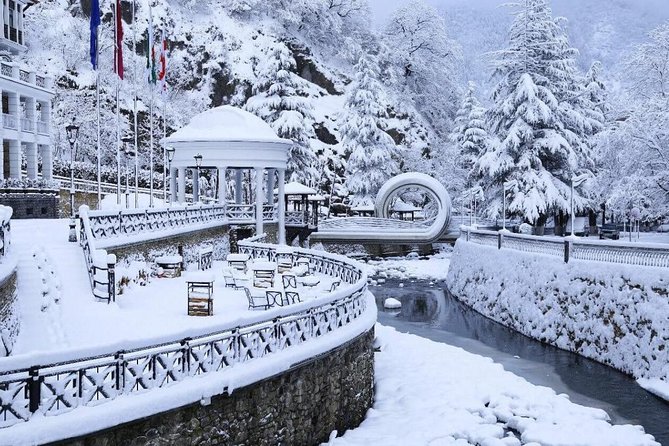 Bakuriani-Borjomi full day trip - Why a private tour changes the day