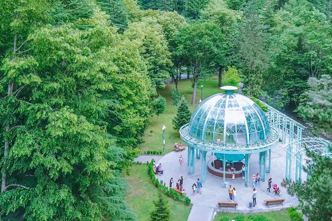 Bakuriani-Borjomi full day trip - Who will enjoy this 11-hour outing