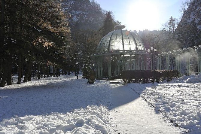 Bakuriani ski resort and the legendary Borjomi (Group Tour) - What the extra costs mean