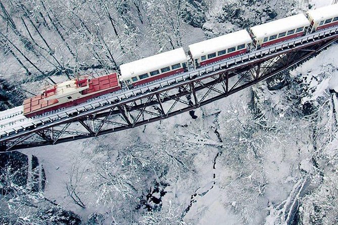 Bakuriani ski resort and the legendary Borjomi (Group Tour) - Five hours in Bakuriani
