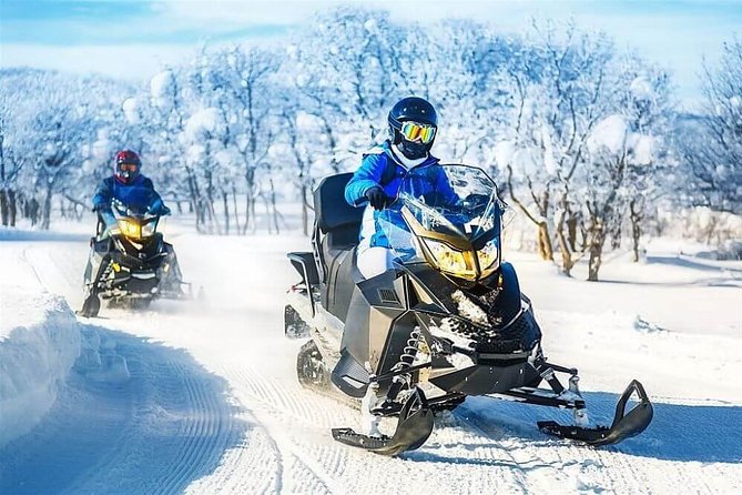 Bakuriani Ski Resort Private Day Tour from Tbilisi Snow Adventure - Why this day trip works from Tbilisi