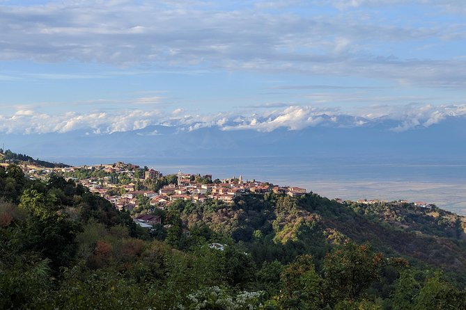 Best of Georgia - 3 or 4 days private tour with transfers and guide - Who will get the most from this trip