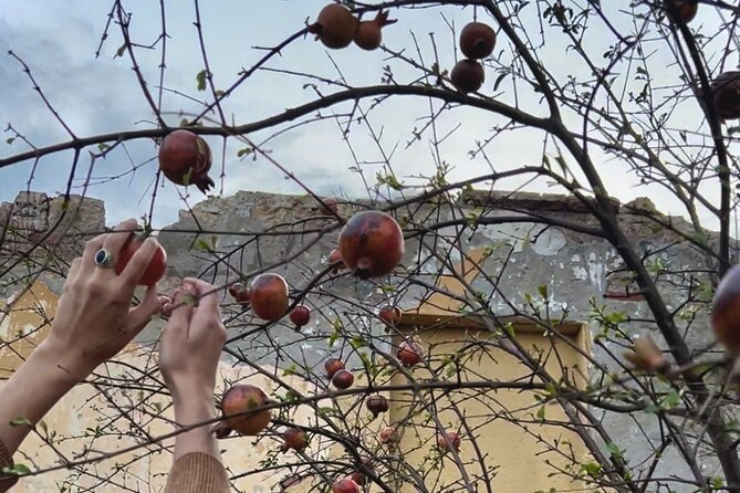 Break Bread with Kutaisi Locals - Conversation, wine, and the human part of the evening