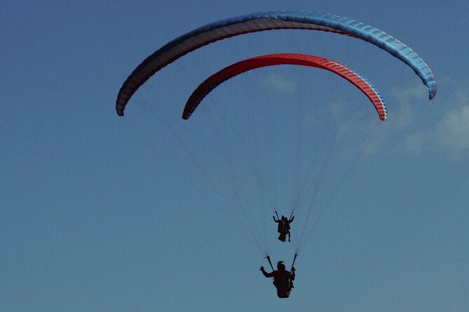 Cloudbase Paragliding in Gudauri, Georgia - Key points to know before booking