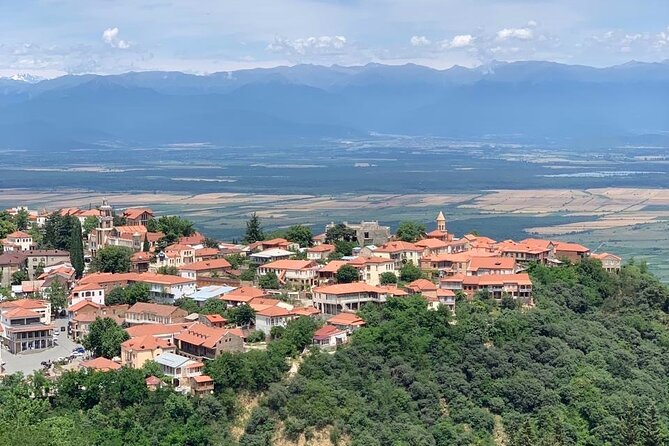 Day tour to Kakheti wine region Georgia - Signagi, the City of Love