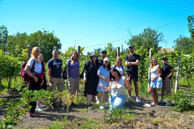 Day Trip to Kakheti Wine Region Including 9 Wine Tastings - KTW Winery and the final pours