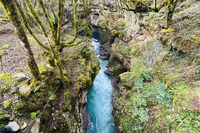 From Kutaisi: Canyons and Caves Tour with Transfer to Tbilisi - Who will enjoy this day most