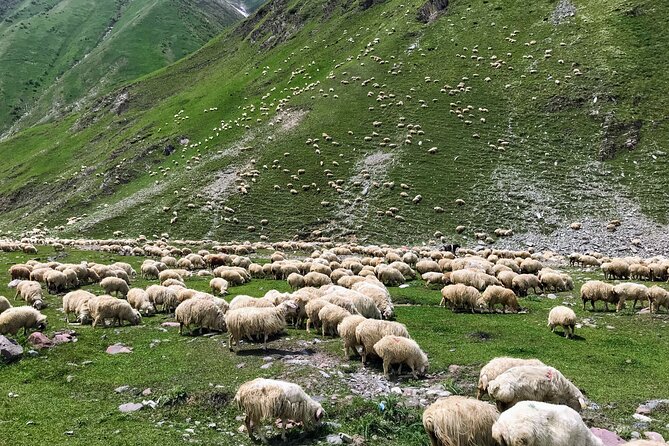 From Tbilisi: Kazbegi Ananuri Gudauri and Trusso Valley by 4x4 - Is $74 good value for a 12 to 14-hour day?