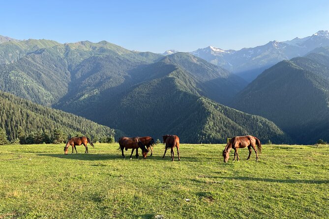 From Tbilisi: Svaneti 4 Days Private tour (Mestia, Ushguli) - Why this route works in only four days