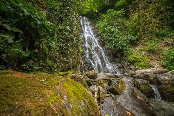 Full Day Tour from Batumi to Waterfalls - What to know about the possible Gonio stop