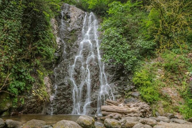 Full Day Tour from Batumi to Waterfalls - The driver makes or breaks the day