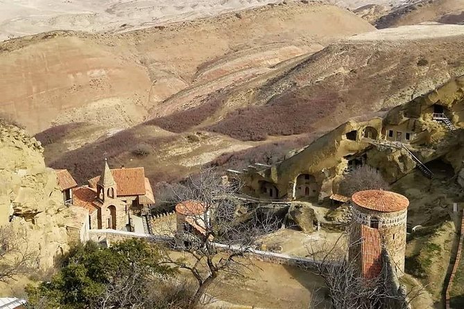 Full day tour to Kakheti: David Gareja and Signagi Town - Should you book the David Gareja and Signagi tour?