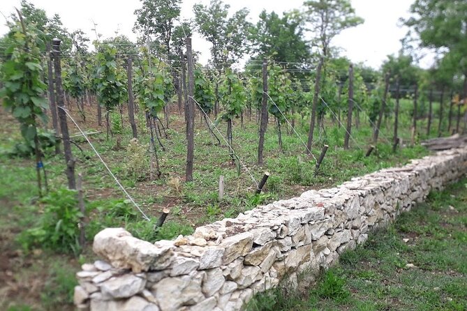 Gelati, Prometheus, Sanatoriums and Wine tour - Who will enjoy this route most