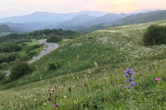 German village in Georgia (Elisabethal) & Wine tasting - What the $75 price really covers