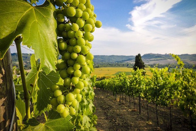 Grand tour to Kakheti for wine lovers: Telavi-Kvareli-Sighnaghi - Telavi brings you into Kakheti’s main city