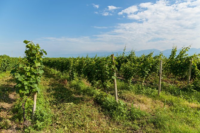 Highlights of Kakheti region-Signagi,Bodbe,Wine tasting(Private Tour) - Bodbe Monastery and the story of St. Nino