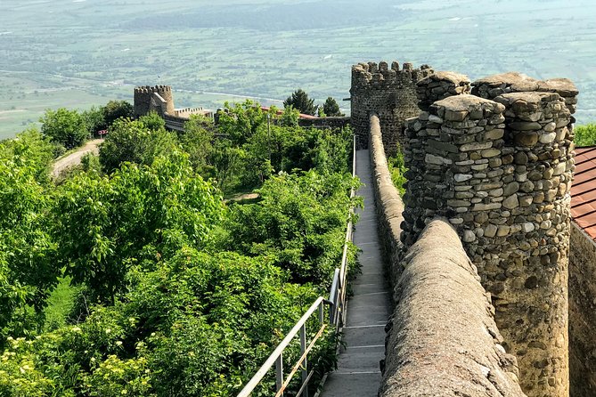 Kakheti and Sighnaghi tour with winetasting - Badiauri: bread, cheese, and a useful first taste