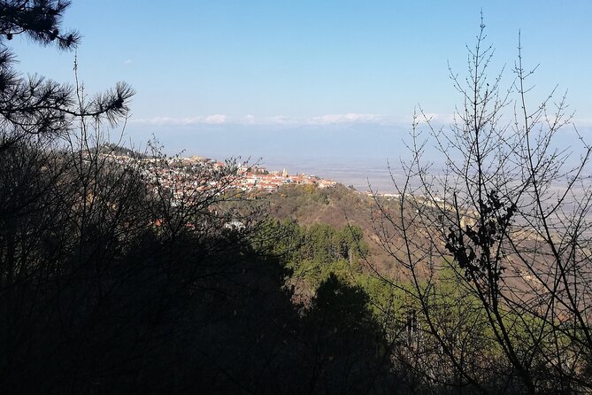 Kakheti Full Day Private Tour - Who will get the most from this private tour