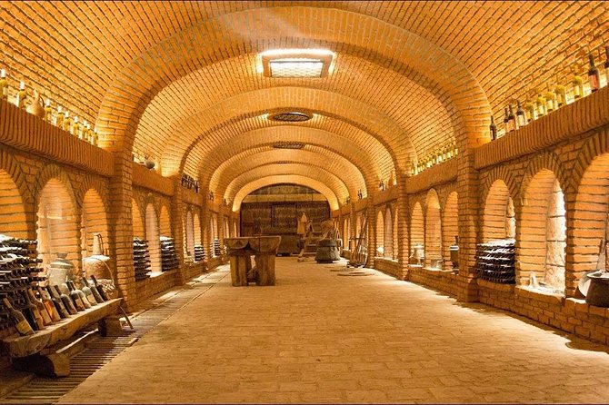 Kakheti Full Day Private Tour - KTW in Patardzeuli: a modern winery with Georgian methods