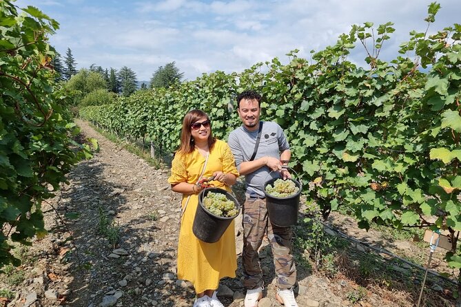 Kakheti - Small wineries and family-cooked lunch • Private tour - Walking Sighnaghi’s old walls