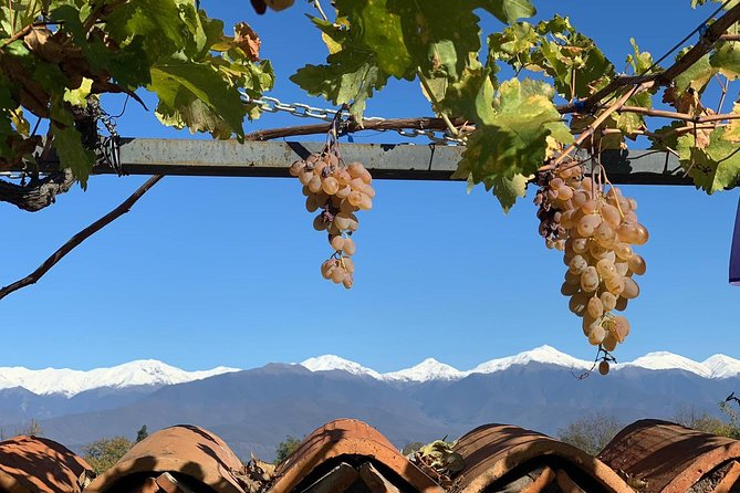 ️ Kakheti tour - Private Full Day Wine tour with Lunch and Wine tasting - Why Kakheti is the right place for a wine day