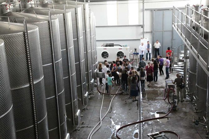 Kakheti Wine & Sighnaghi Private Tour from Tbilisi - Bread straight from the tone oven in Badiauri