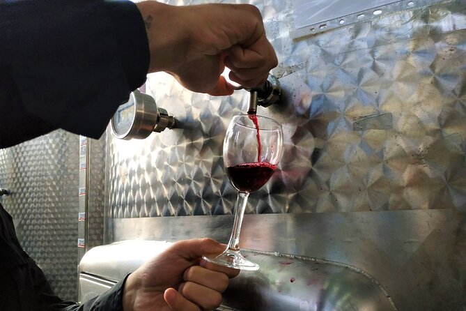 Kakheti Wine Tour with 20+ Wine Tastings & Qvevri Masterclass - Stop three: entering Khareba’s wine tunnel
