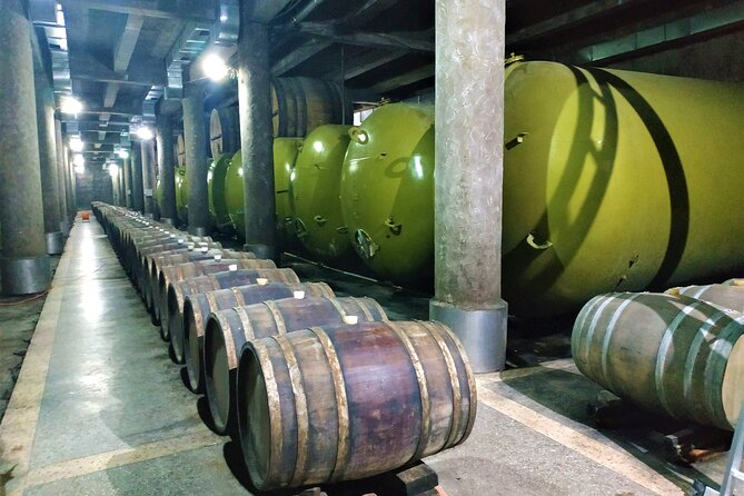 Kakheti Wine Tour with 20+ Wine Tastings & Qvevri Masterclass - Stop four: tank tastings and oak-aged brandy at KTW