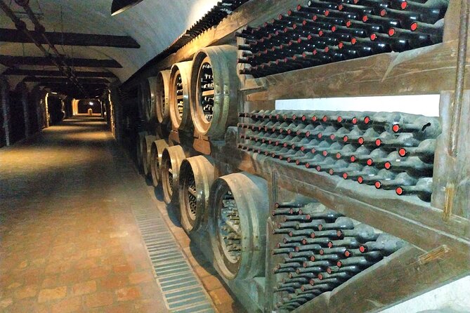 Kakheti Wine Tour with 20+ Wine Tastings & Qvevri Masterclass - What the 20-plus tastings really mean