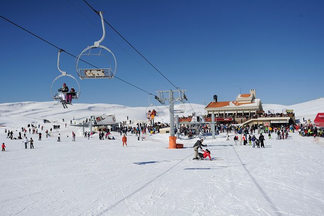 Kazbegi, Gergeti and Ananuri Full Day Tour from Tbilisi - The Reliability Question