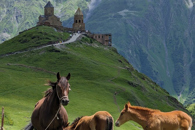 Kazbegi & Gudauri Private Full-Day Tour From Tbilisi - From Tbilisi to the Zhinvali Reservoir
