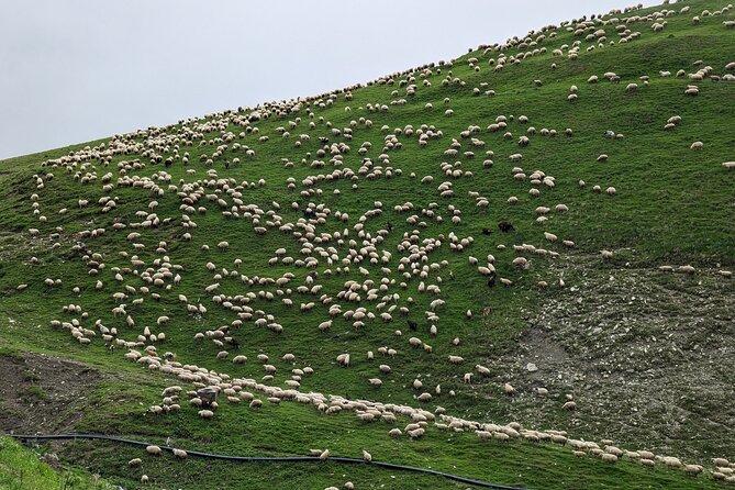 Kazbegi & Gudauri Private Full-Day Tour From Tbilisi - Ananuri Fortress above the water
