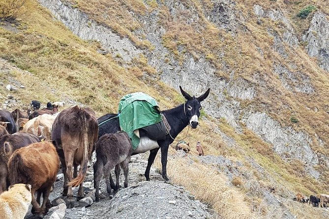 Kazbegi MOUNTAIN Tour (GLORY OF THE NATURE) + MANY NEW LOCATIONS - Kobi’s sulfur-colored ground