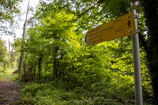 Lagodekhi - A day hiking from Tbilisi - The 8:00 am pickup from Tbilisi
