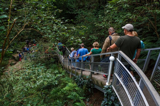 Martvili canyon & Prometheus Cave group tour from Tbilisi - Group size, guiding, and the feel of the day