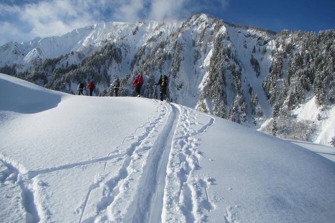 Mestia Ushguli private tour - Who should book this Mestia to Ushguli trip?
