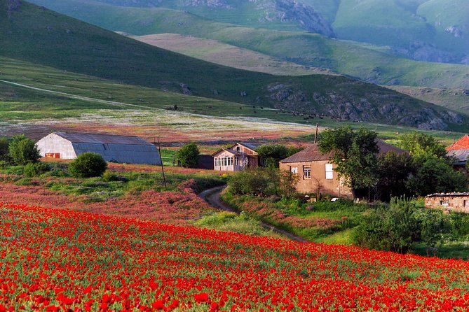 Mtskheta,Jvari,Gori,Uplistikhe(private tour) - Who will enjoy this day most?