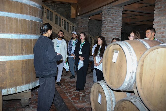 One Day Kakheti Tour with Wine Tasting and Free Churchkhela - Wine tasting and churchkhela