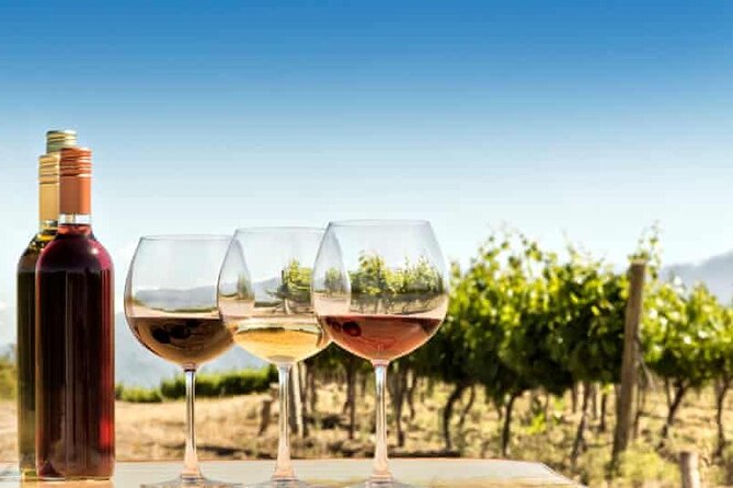 Private Day Trip to Kakheti Wine Region Including Wine Tasting - The food option is worth asking about