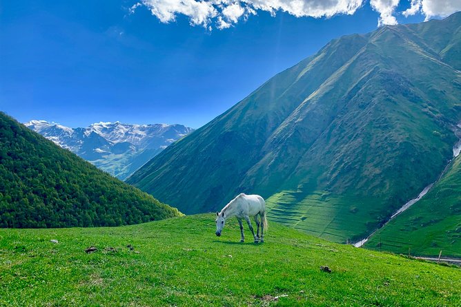 ️Private Full-Day Tour to Mtskheta and Kazbegi(stepantsminda) from Tbilisi - Why this Tbilisi day trip covers so much ground