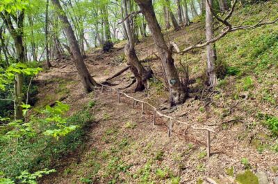 Private Hiking Tour to Machakhela National Park from Batumi