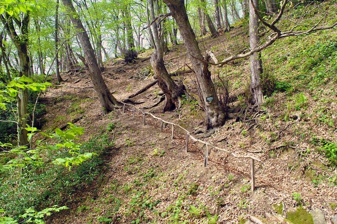 Private Hiking Tour to Machakhela National Park from Batumi - What the private format means for you